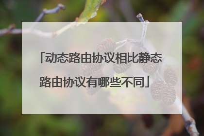 动态路由协议相比静态路由协议有哪些不同