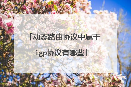 动态路由协议中属于igp协议有哪些