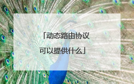 动态路由协议可以提供什么