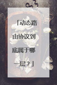 动态路由协议到底属于哪一层?