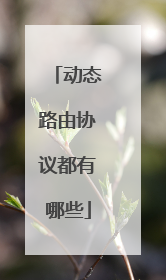 动态路由协议都有哪些