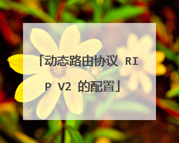 动态路由协议 RIP V2 的配置