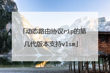 动态路由协议rip的第几代版本支持vlsm