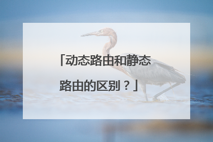 动态路由和静态路由的区别？