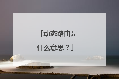 动态路由是什么意思?