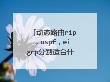 动态路由rip，ospf，eigrp分别适合什么样的网络，网络范围大小等？