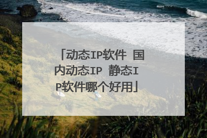 动态IP软件 国内动态IP 静态IP软件哪个好用