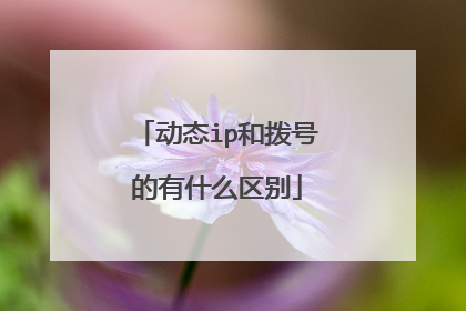 动态ip和拨号的有什么区别