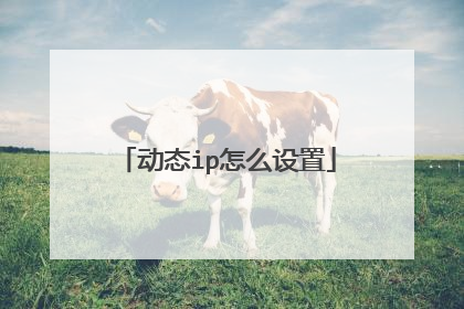 动态ip怎么设置