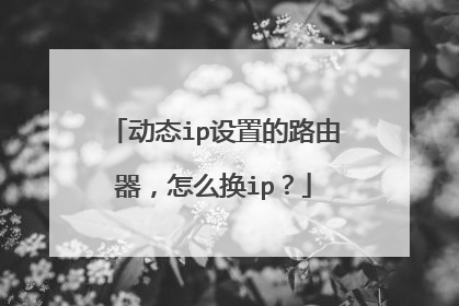 动态ip设置的路由器，怎么换ip？