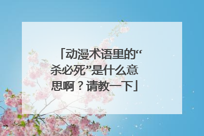动漫术语里的“杀必死”是什么意思啊?请教一下