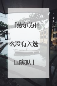 劳尔为什么没有入选国家队