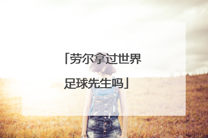 劳尔拿过世界足球先生吗