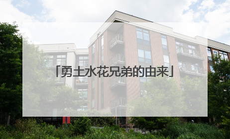 勇土水花兄弟的由来