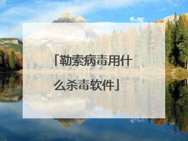 勒索病毒用什么杀毒软件