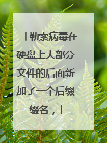 勒索病毒在硬盘上大部分文件的后面新加了一个后缀缀名,