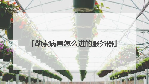 勒索病毒怎么进的服务器