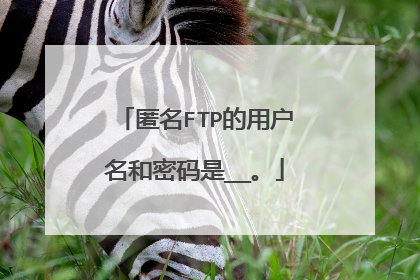 匿名FTP的用户名和密码是__。