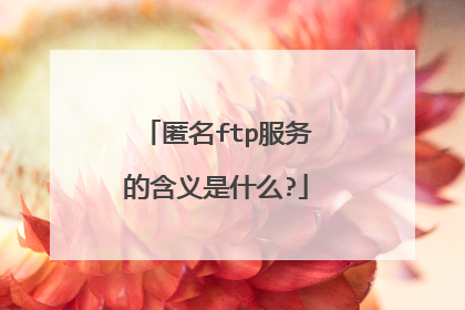 匿名ftp服务的含义是什么?