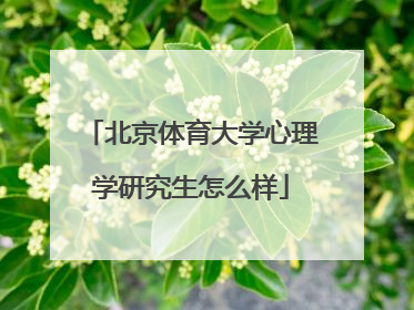 北京体育大学心理学研究生怎么样