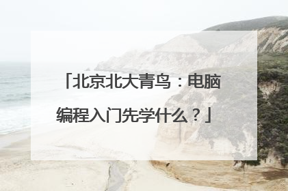 北京北大青鸟:电脑编程入门先学什么?