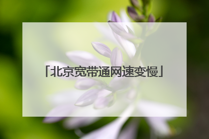 北京宽带通网速变慢