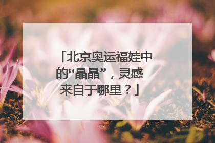 北京奥运福娃中的“晶晶”，灵感来自于哪里？