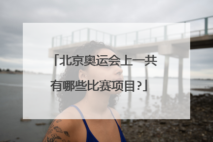 北京奥运会上一共有哪些比赛项目?