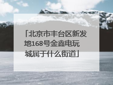 北京市丰台区新发地168号金鑫电玩城属于什么街道