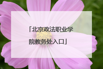 北京政法职业学院教务处入口