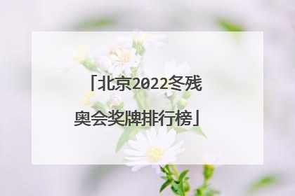 北京2022冬残奥会奖牌排行榜