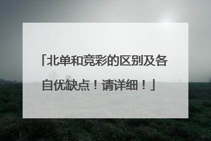 北单和竞彩的区别及各自优缺点！请详细！