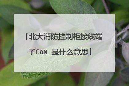北大消防控制柜接线端子CAN 是什么意思