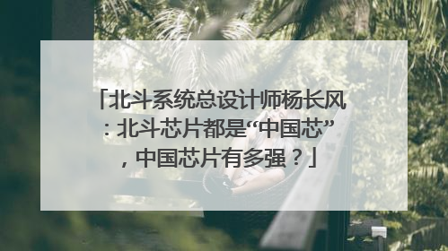 北斗系统总设计师杨长风：北斗芯片都是“中国芯”，中国芯片有多强？