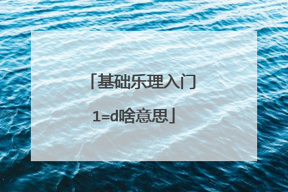 基础乐理入门1=d啥意思