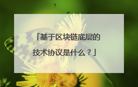 基于区块链底层的技术协议是什么？
