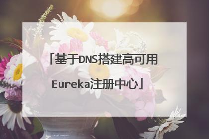 基于DNS搭建高可用Eureka注册中心