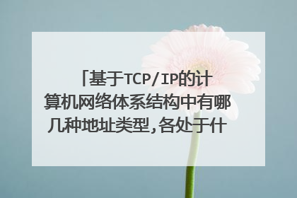 基于TCP/IP的计算机网络体系结构中有哪几种地址类型,各处于什么层次?作用如何?