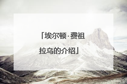 埃尔顿·费祖拉乌的介绍