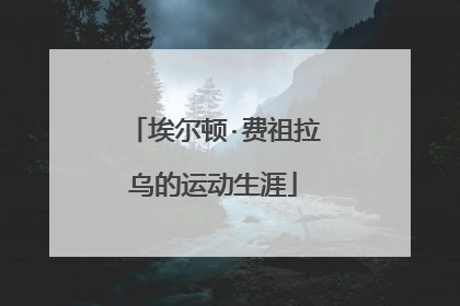 埃尔顿·费祖拉乌的运动生涯