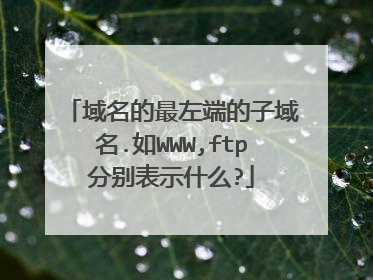 域名的最左端的子域名.如WWW,ftp分别表示什么?