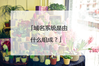 域名系统是由什么组成？