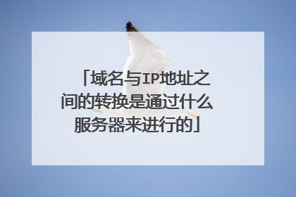 域名与IP地址之间的转换是通过什么服务器来进行的