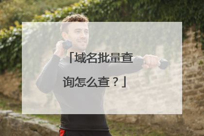 域名批量查询怎么查?