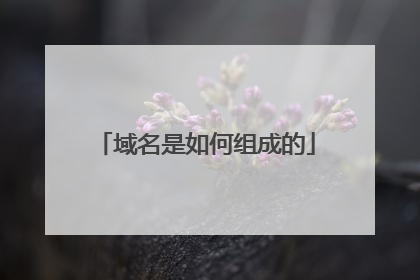 域名是如何组成的