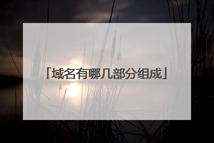 域名有哪几部分组成