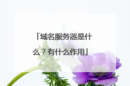 域名服务器是什么?有什么作用