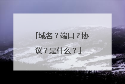 域名？端口？协议？是什么？
