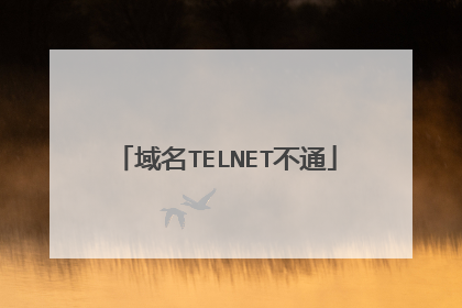 域名TELNET不通