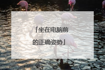 坐在电脑前的正确姿势